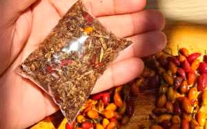 Coca Leaf Chemistry: How It Stays Non-Addictive in Tea