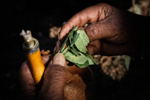 Coca in Andean Culture