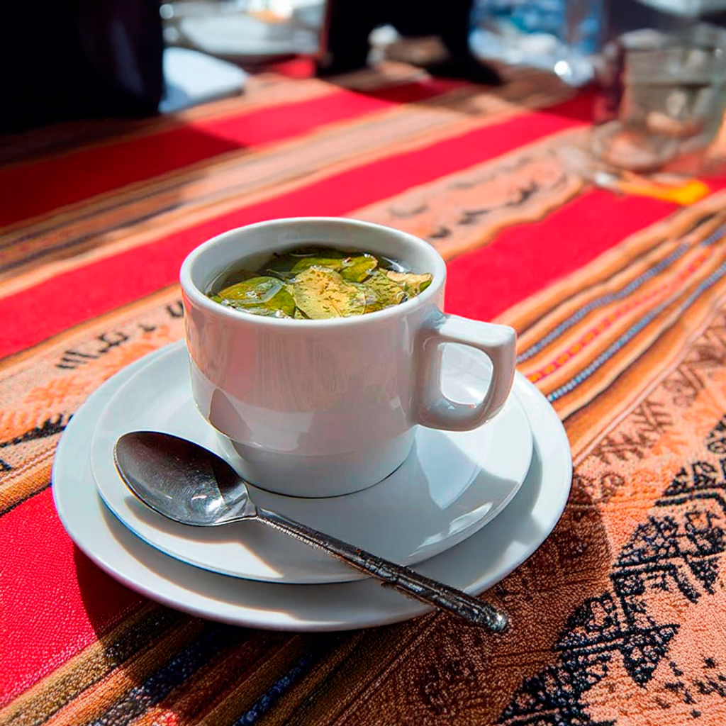 Coca tea - Natural Infusion