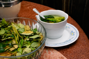 coca leaf myths