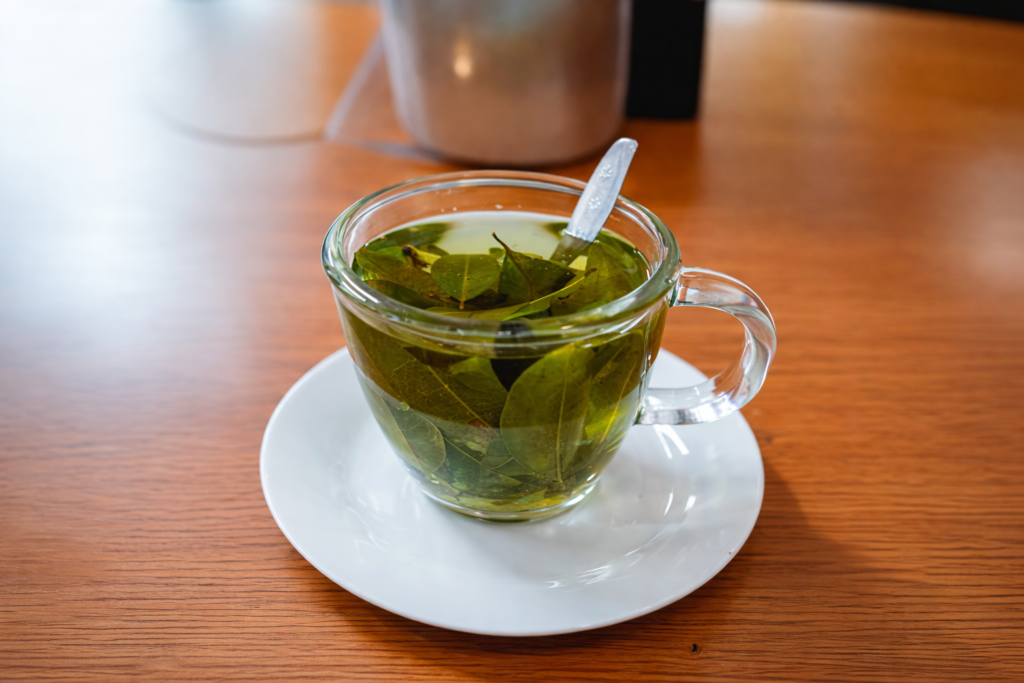 coca leaf pain relief